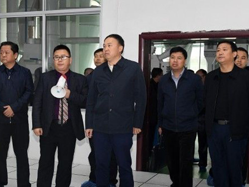 縣委書(shū)記等領(lǐng)導(dǎo)調(diào)研湖南米米夢(mèng)工場(chǎng)科技股份有限公司